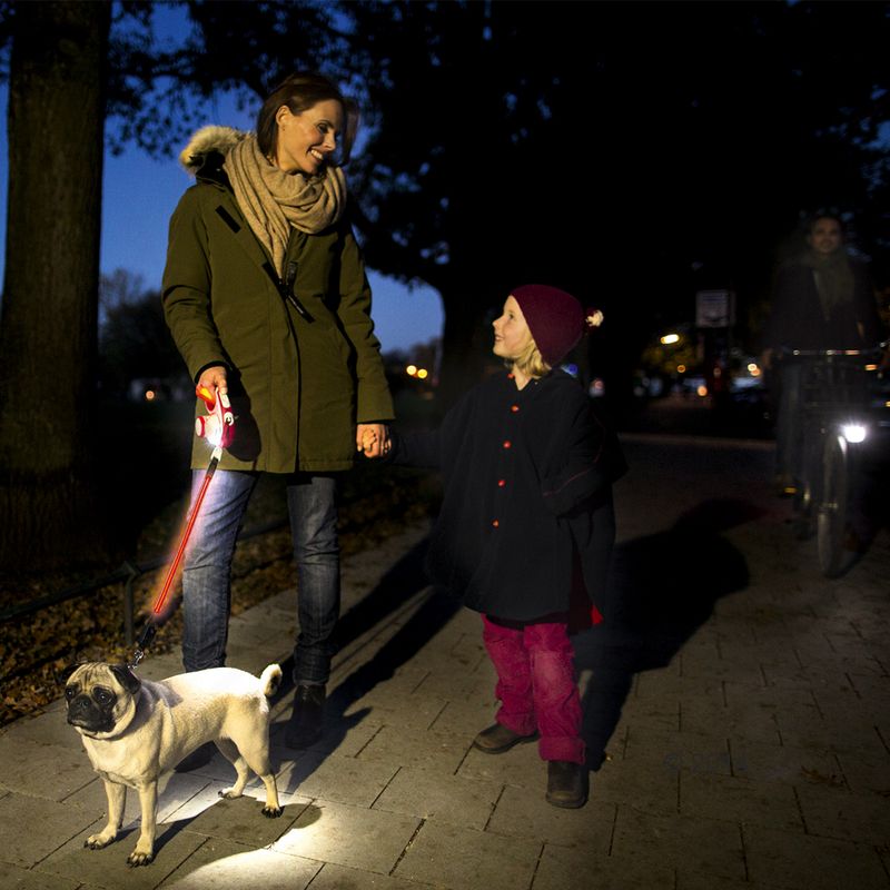 flexi LED Lighting System 5m Small flexi New Classic Red Rope Lead