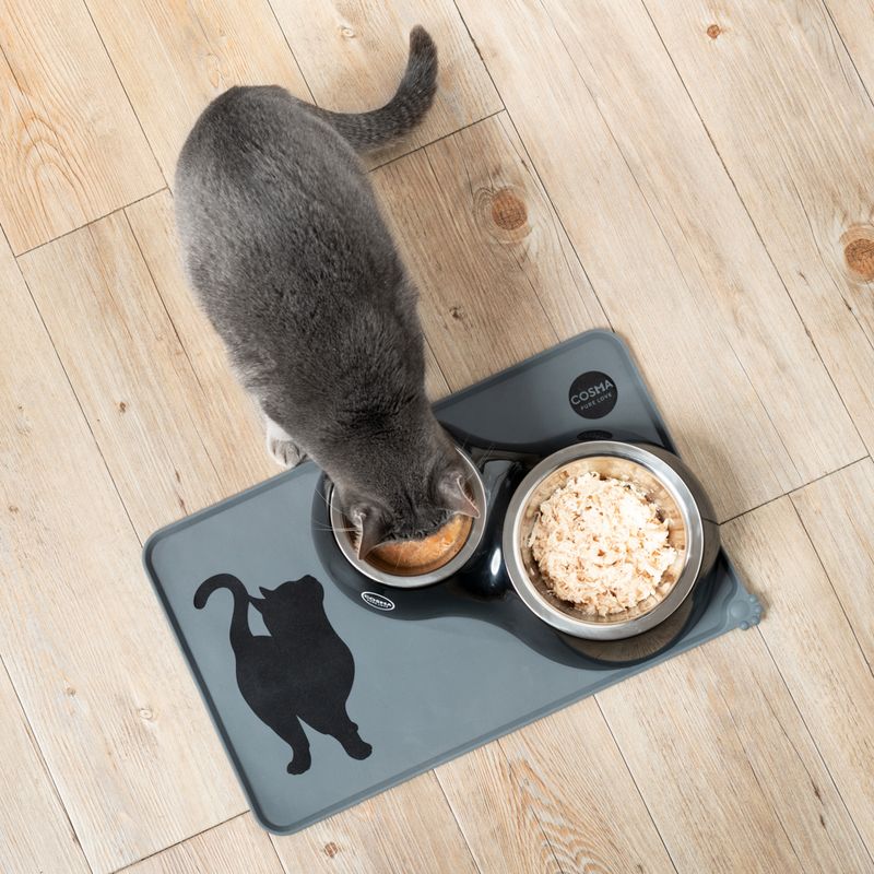 Cosma Dual Feeding Bowl 0.25 litre + 0.75 litre (1 each)