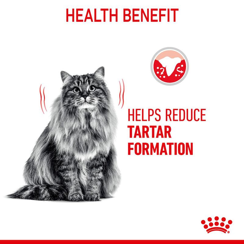 Royal Canin Dental Care 400g