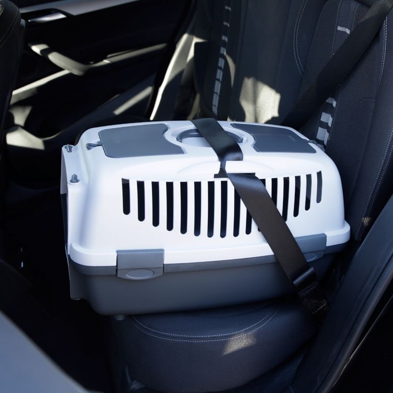 Kerbl Pet Transport Box Gulliver 32 x 48 x 31cm (W x D x H)