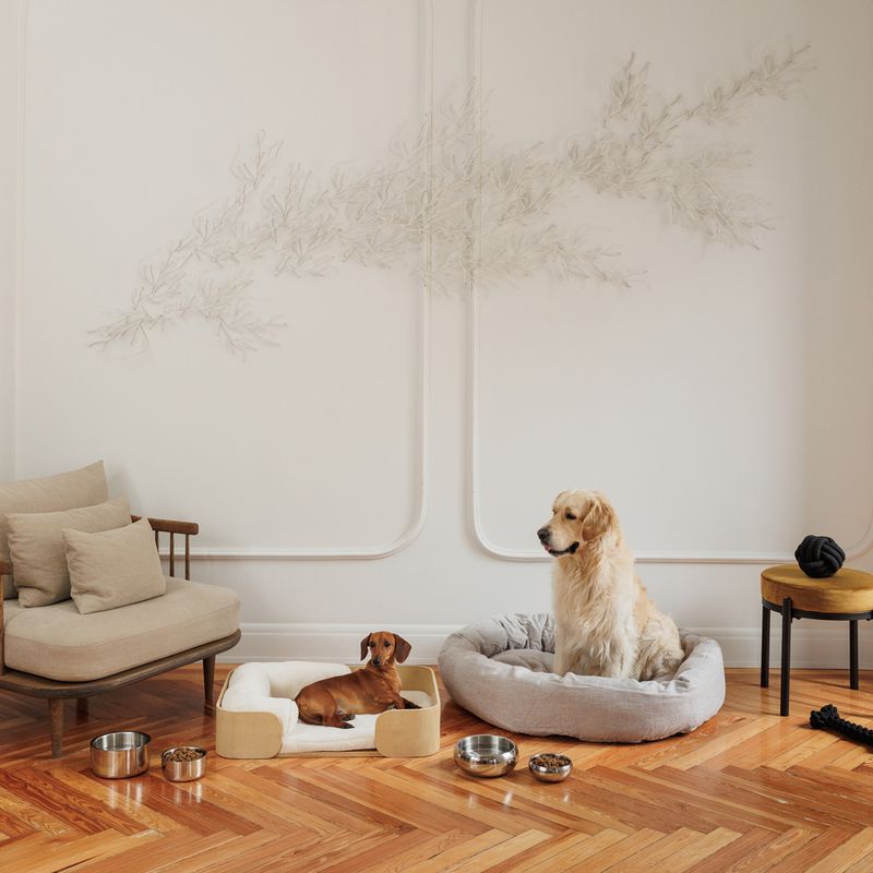 Modern Living Double-walled premium bowl Bayi 400 ml, diameter 13 cm