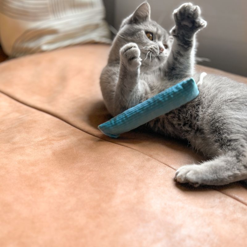 Aumüller Pastel Cord Cat Cushion Kicker Toy Set Set of 2