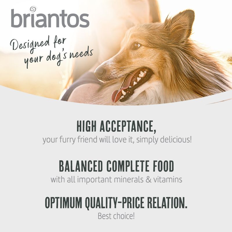 Briantos Adult Active 14kg
