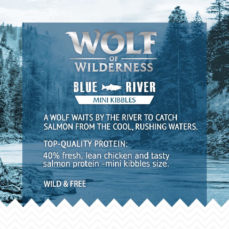 Wolf of Wilderness Adult Mini \