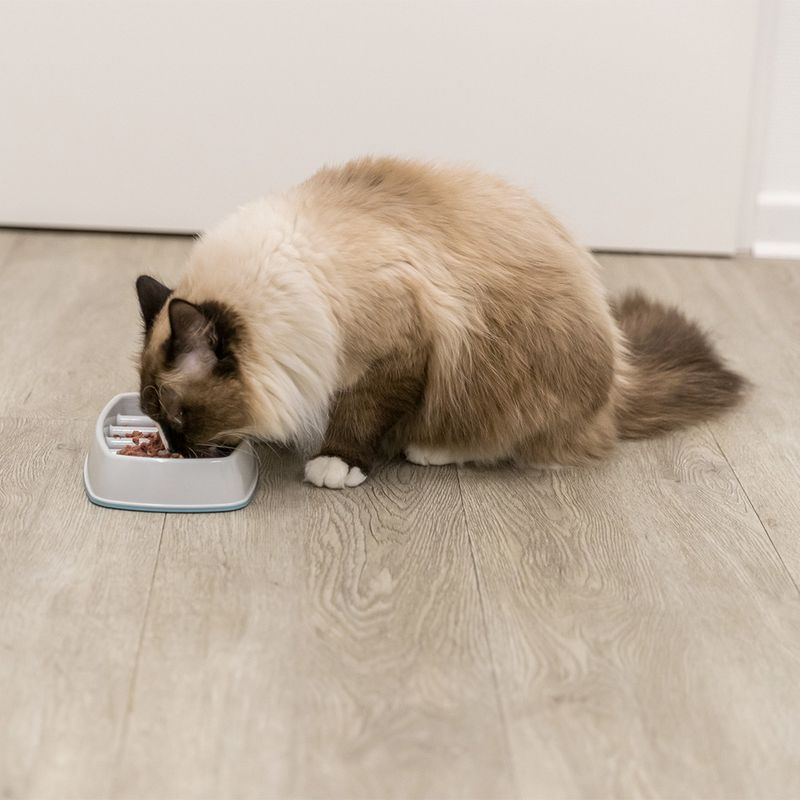 Trixie Slow Feeding Bowl 250 ml