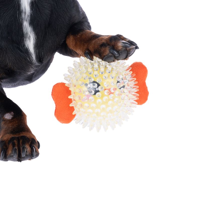 TIAKI Pufferfish Spiky Ball diameter 8.5 x (W) 13 cm