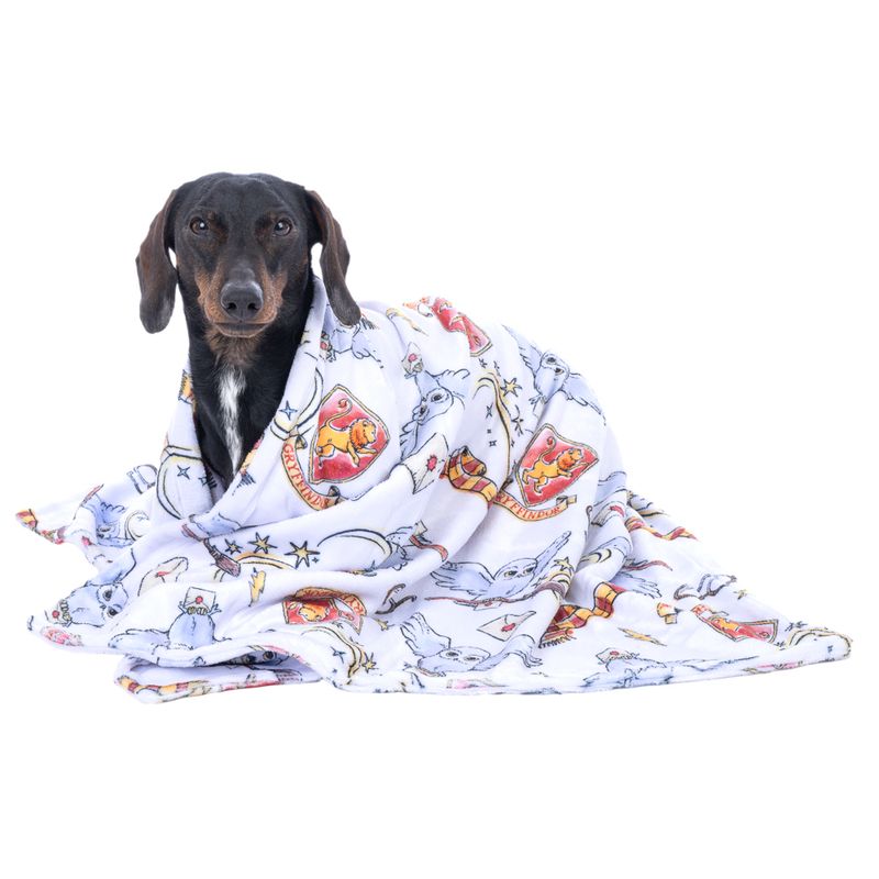 Warner Bros™ Harry Potter Hedwig Pet Blanket 100 x 70 cm (L x W)