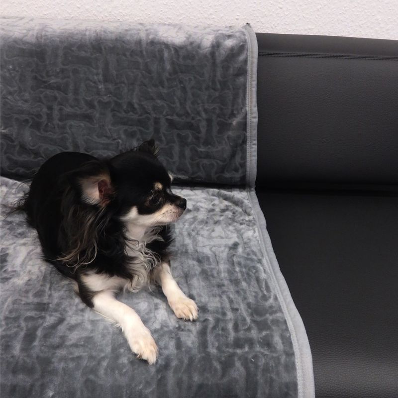 Bones Snuggle Blanket - XXL 180 x 105 cm (L x W)