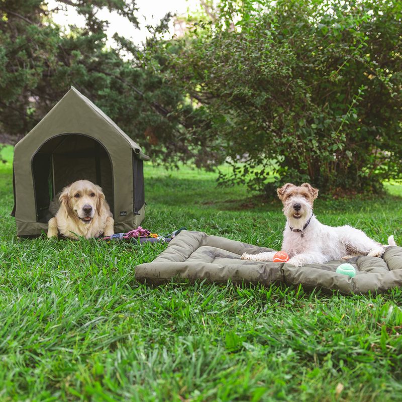 Nomad Tales Spirit Portable Doghouse 64 x 89 x 85 cm (L x W x H)