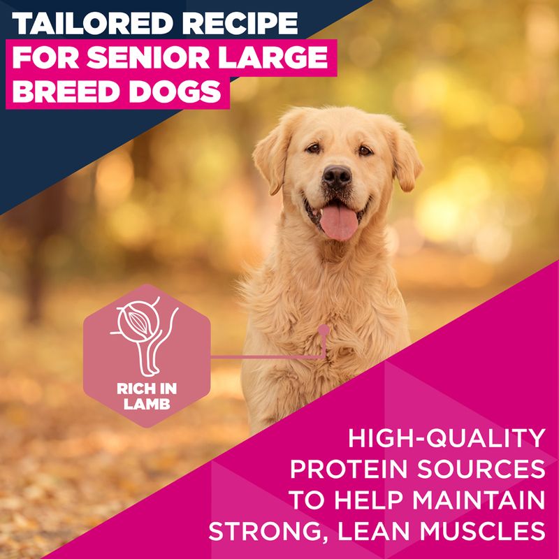 Eukanuba Premium Nutrition Senior Large & Giant Breed Lamb & Rice 12kg