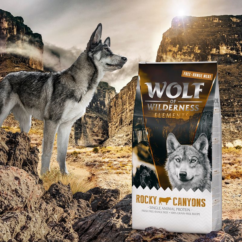 Wolf of Wilderness Adult \