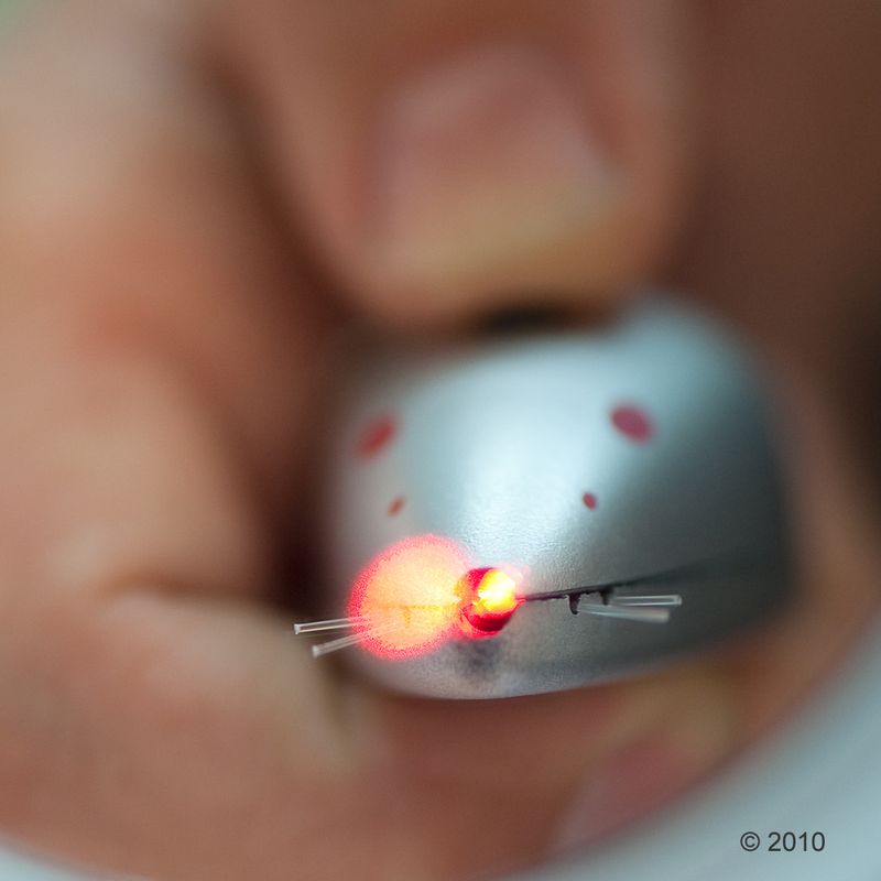 Trixie Catch the Light Laser Pointer Laser Pointer