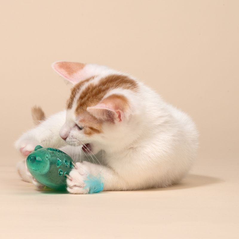 TIAKI Mouse with Catnip Ball & Feathers 1 Toy