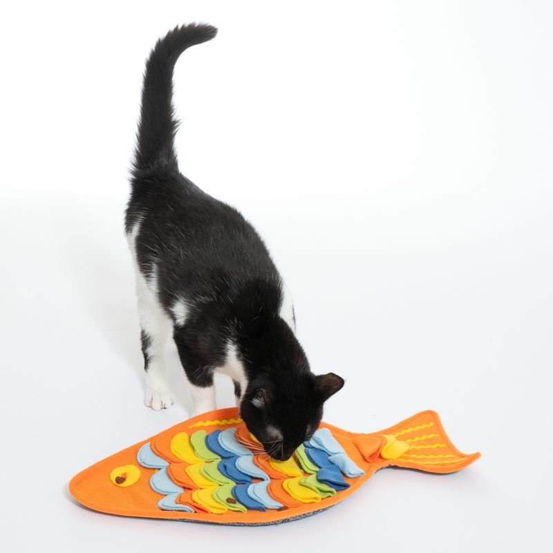 TIAKI Rainbow Fish Sniffing Mat approx. 48 x 25cm (L x W)