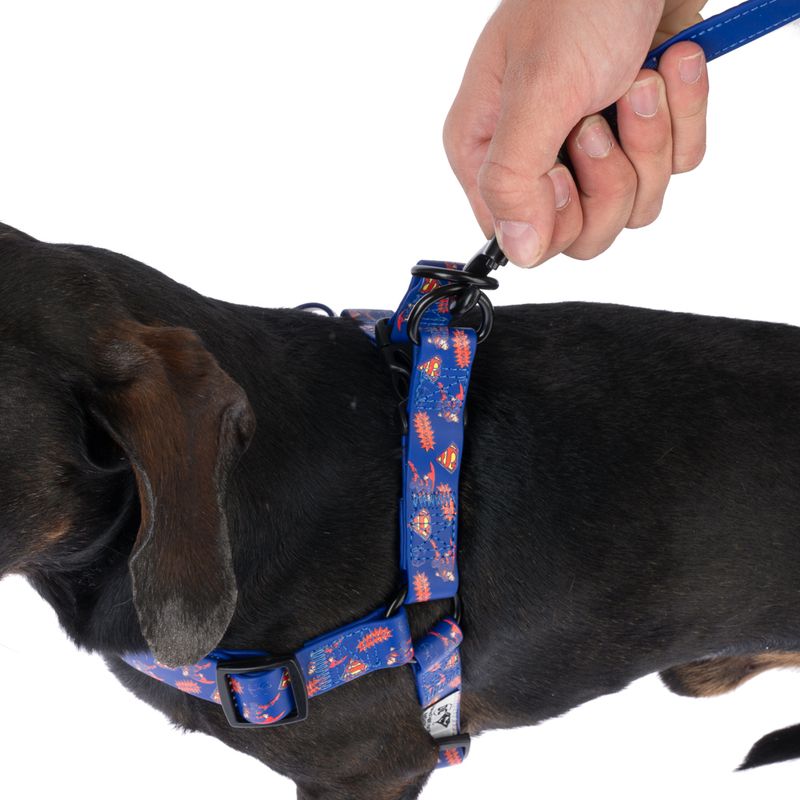 DC Superman Harness - Blue Size S: Chest Circumference 39 - 51 cm