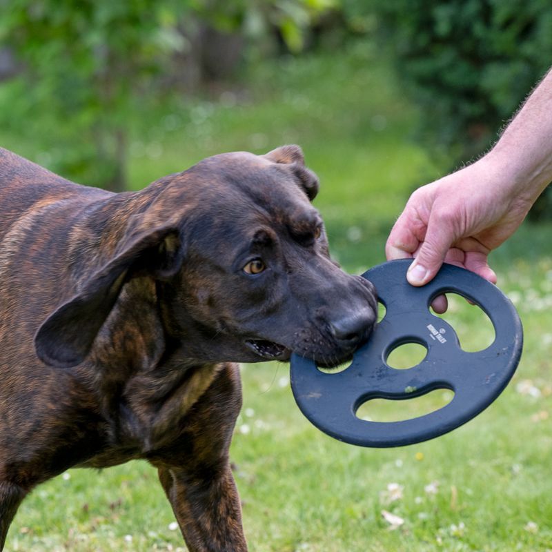 Nomad Tales Bloom Ultra-strong Fetch Disk Diameter 22 x H 1.25 cm