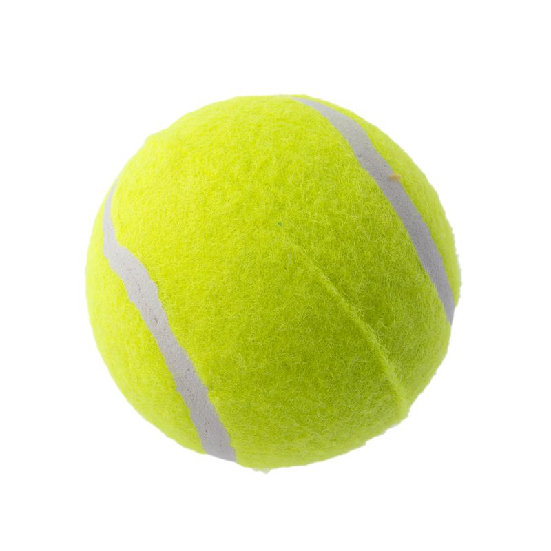 zooplus Basics Tennis Ball Set Set of 8