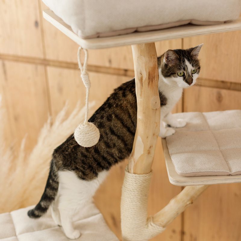 Modern Living Brixen Cat Tree Cream / natural