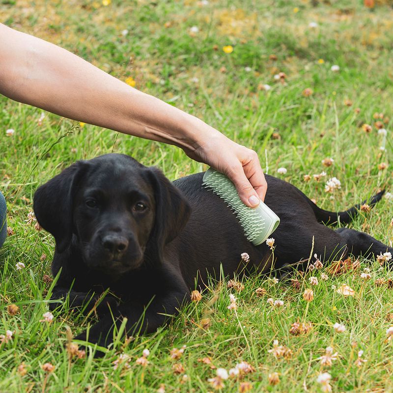 Pet Teezer Puppy Brush L 12 x W 5,5 x H 5 cm