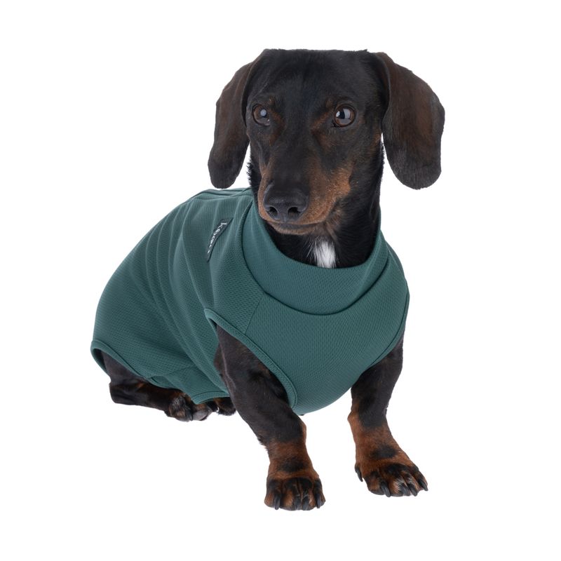 kooa OP-Bodysuit for Male Dogs Size S: approx. 35cm back length