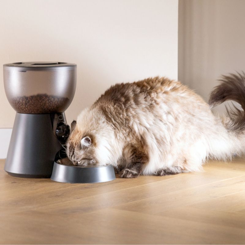 Beeztees Smart Automatic Feeder Cam 4l