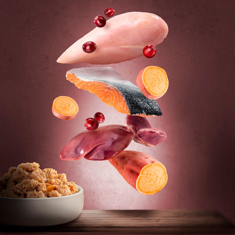 Purizon Adult Saver Pack 24 x 200g Chicken Fillet with Turkey & Salmon