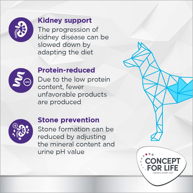 Concept for Life Veterinary Diet Dog Renal 12kg