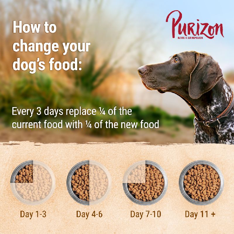 Purizon Puppy Large Breed Dog – Grain-Free Chicken & Fish 12kg