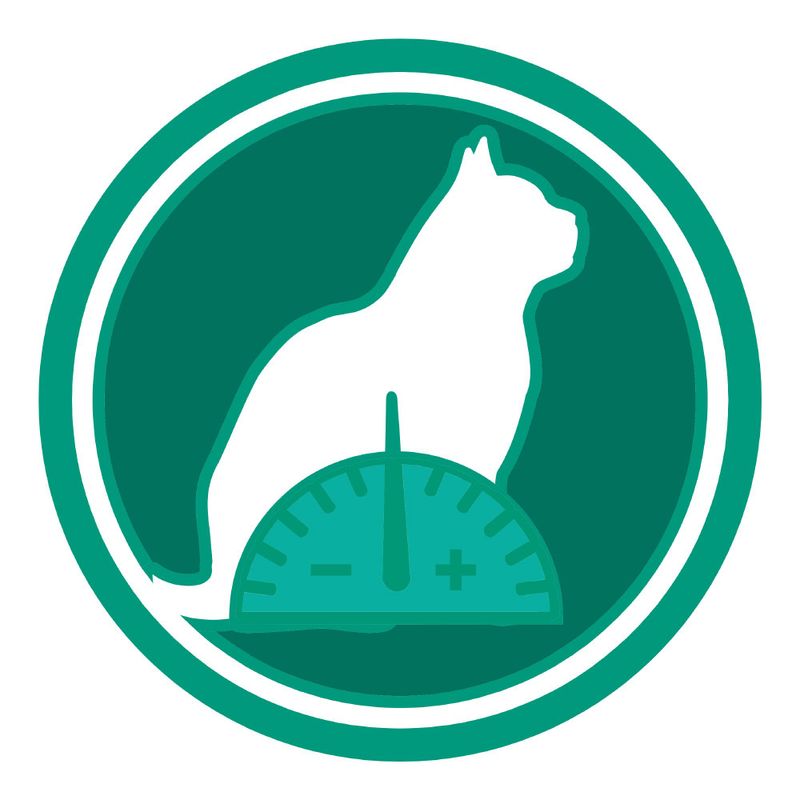 PURINA ONE Senior +11 Chicken 4 x 1,5 kg