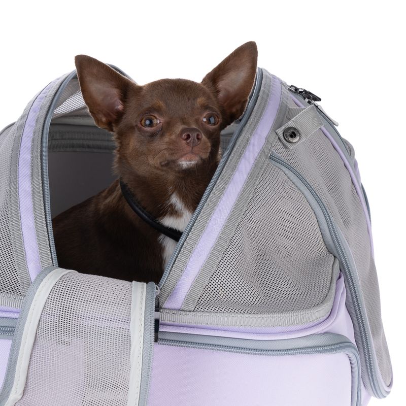 TIAKI Lavender Pet Carrier 46 x 36 x 35 cm (L x W x H)