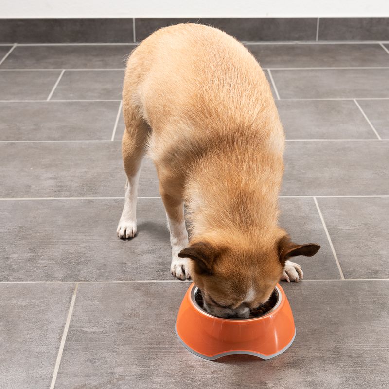 TIAKI Anti-Slip Bowl - Transparent Orange 400ml (16cm diameter)