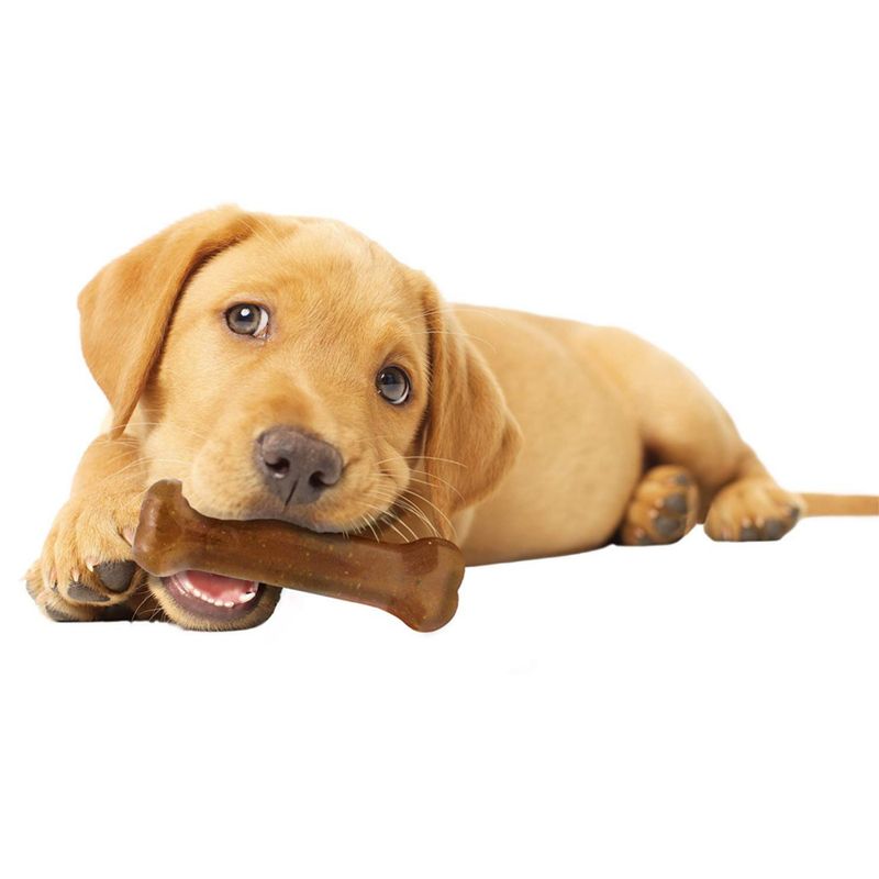 Nylabone PuppyBone S