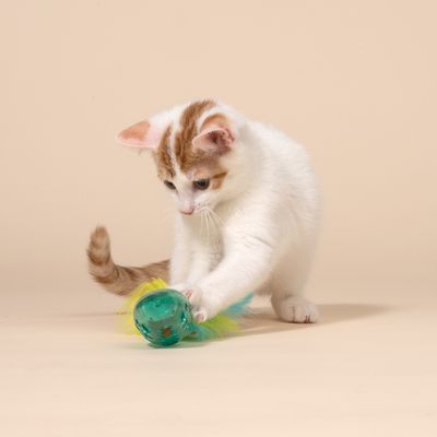 TIAKI Mouse with Catnip Ball & Feathers 1 Toy