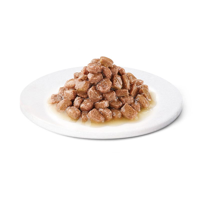 Advance Kitten Turkey 12 x 85g