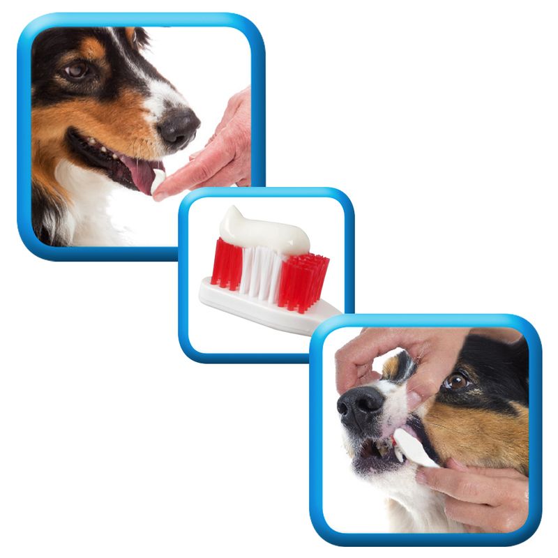 beaphar Toothpaste 100g