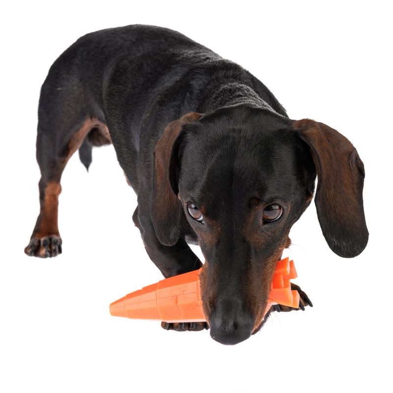 TIAKI Sniffing Toy Carrot L 14.2 x W 4.5 x H 4.5 cm