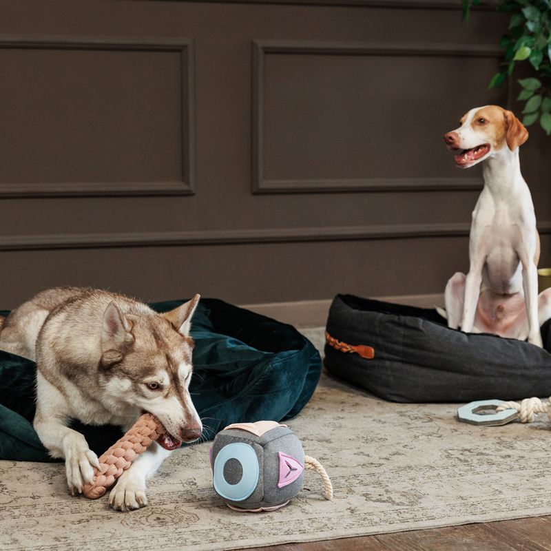 Modern Living Tarifa Dog Toy 4 x 24.5cm (diameter x L)