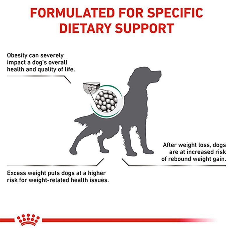 Royal Canin Veterinary Canine - Satiety Weight Management 6kg