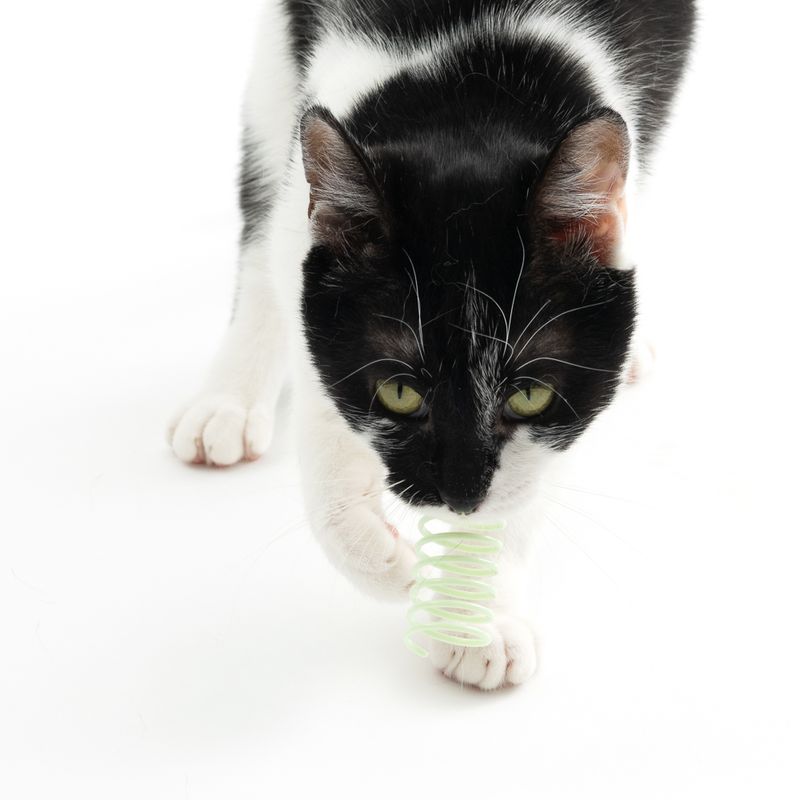 TIAKI Spiral Set Set of 4