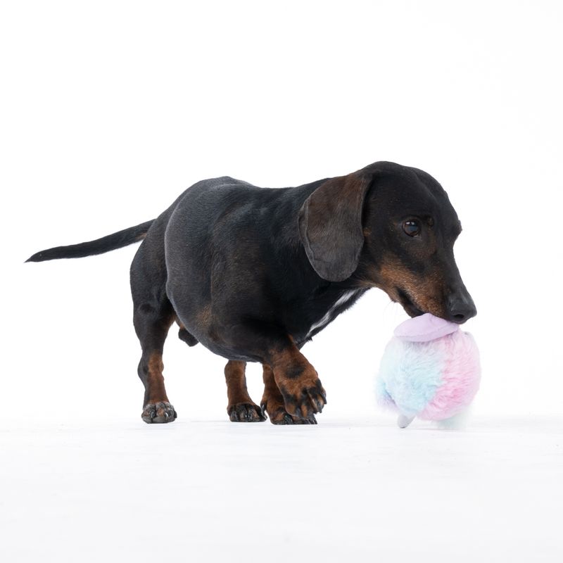 TIAKI Unicorn Kitten Stretch Ball diameter 18cm