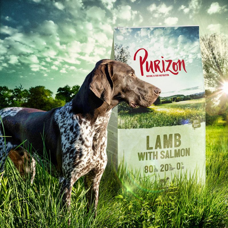Purizon Lamb with Salmon Adult – Grain-free 1kg