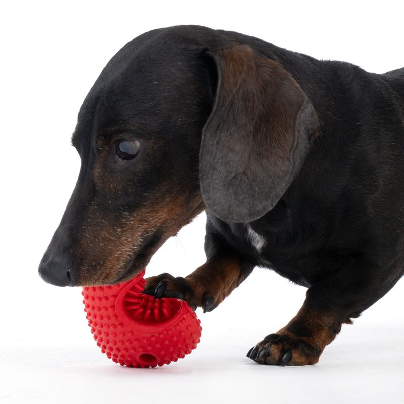 TIAKI Bone Fish Chew Toy 13 x 8 x 4 cm (L x W x H)