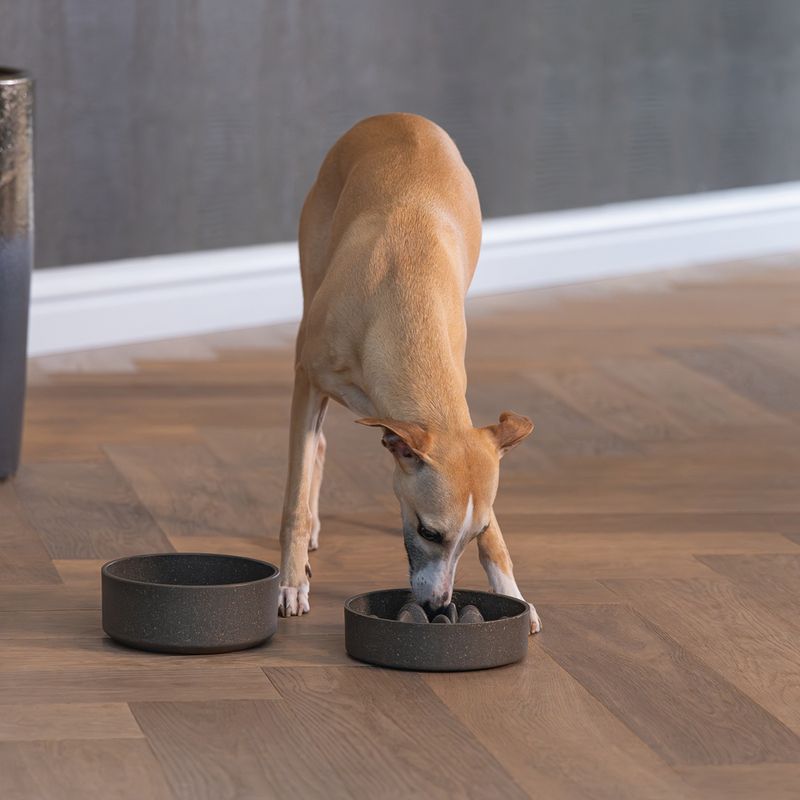 Designed by Lotte Bamboo Anti-Slip Dog Bowl 800ml