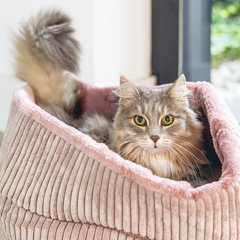 Designed by Lotte Ribbed Cat Basket Light Grey