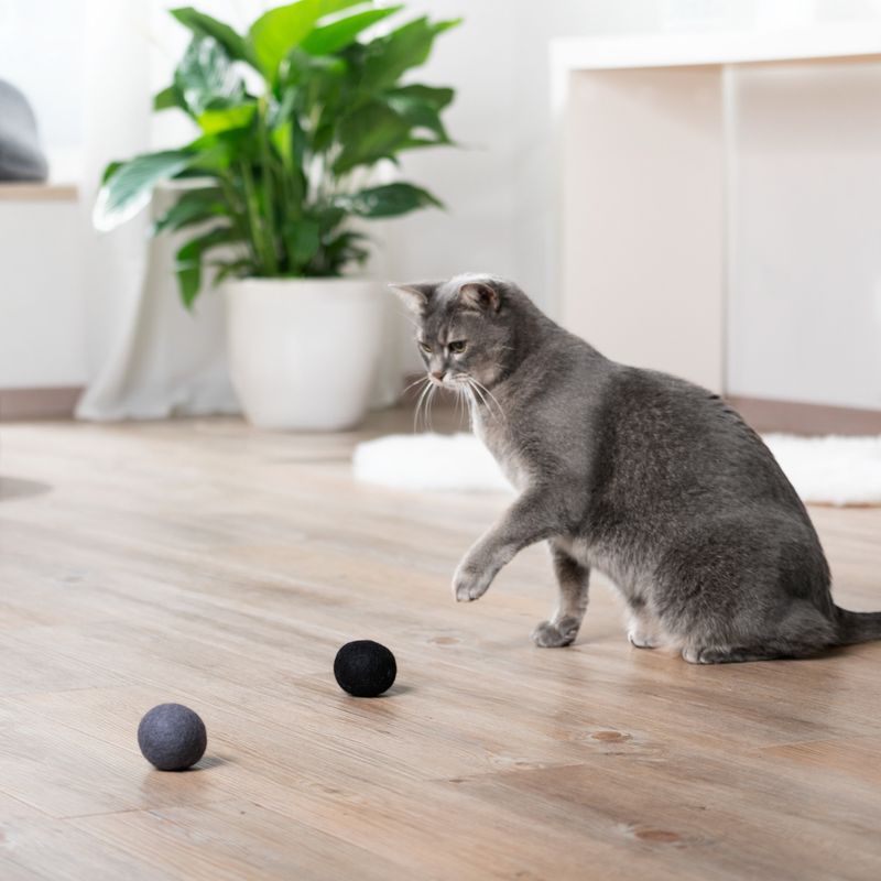 Cosma Wool Ball Cat Toy 2 balls