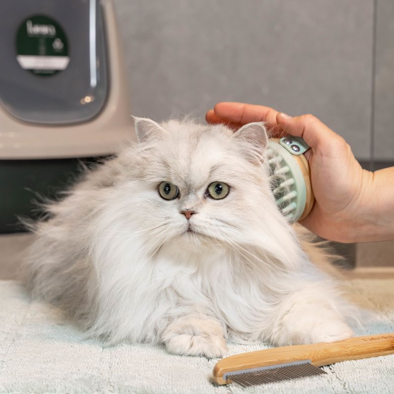 kooa Massage Brush for Cats 7 x 4cm (Diameter x H)