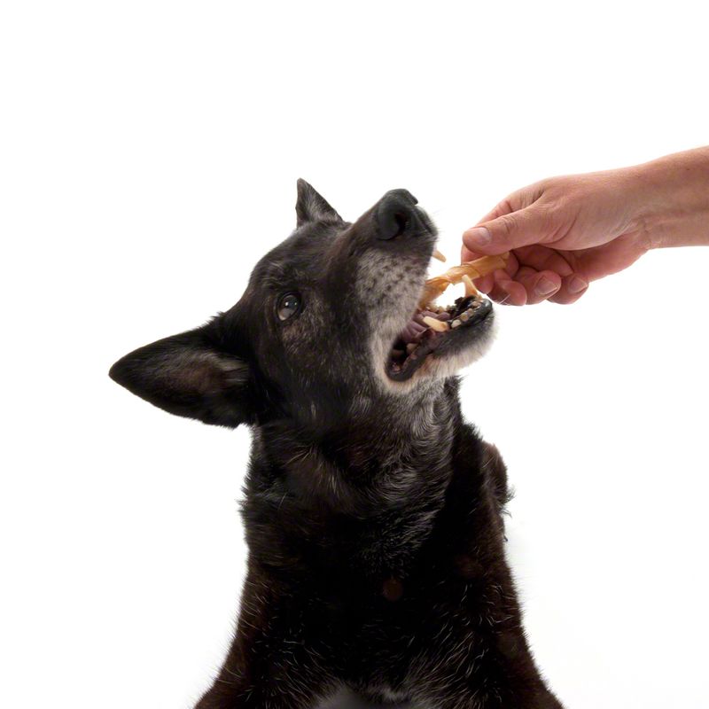 Rolled Trixie Chew Sticks 100 Pieces