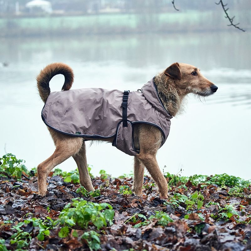 HUNTER Uppsala Dog Coat approx. 40cm Back Length