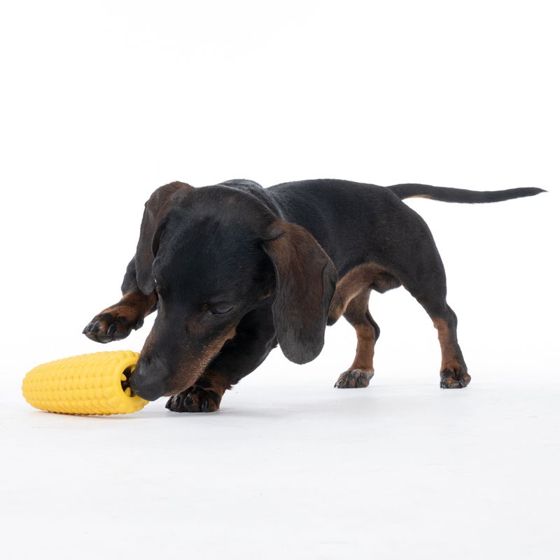 TIAKI Rubber Corn on the Cob Treat Toy approx. diameter 5 x (L) 14.5 cm