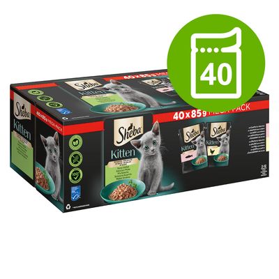 Sheba Kitten Pouches Varieties 40 x 85g Meat & Fish Collection in Gravy